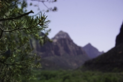 Zion NP