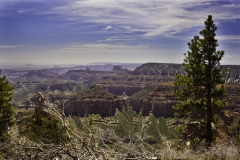 Grand Canyon, North Rim