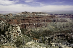 Grand Canyon, North Rim