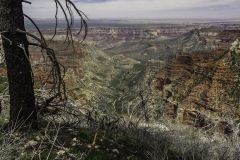 Grand Canyon, North Rim