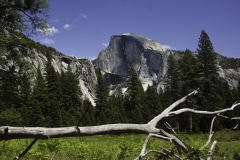 Yosemite Nationalpark